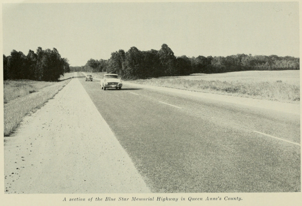 Image of Eastern Shore Expressway as a single carriageway